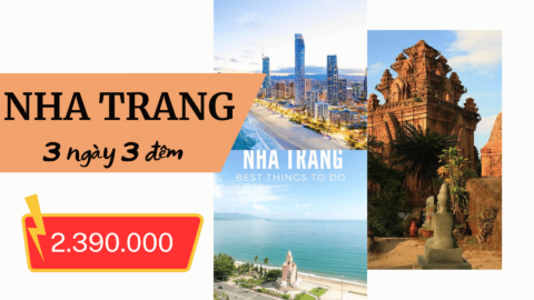 Nha Trang - Bãi Tranh - Viện Hải Dương Học - Tháp bà Ponagar - Chùa Long Sơn - 2.390.000 VNĐ